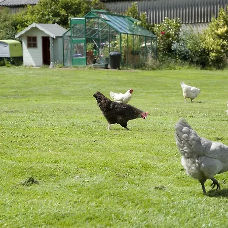 Daire Padley Farm *