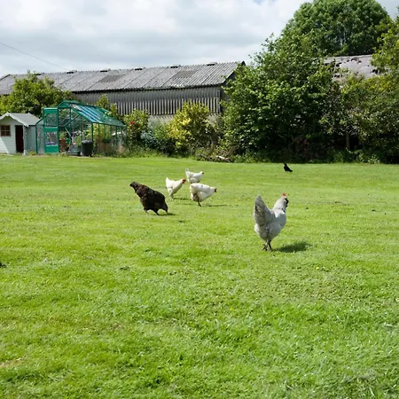 Padley Farm Daire Bradfield